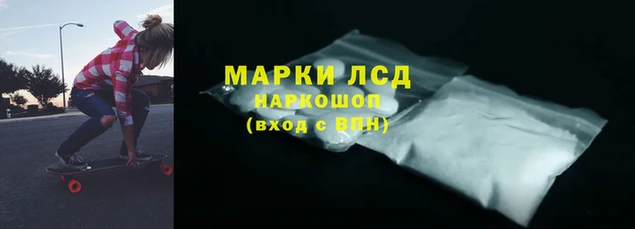 spice Арсеньев