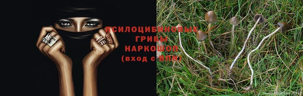 бошки Армянск