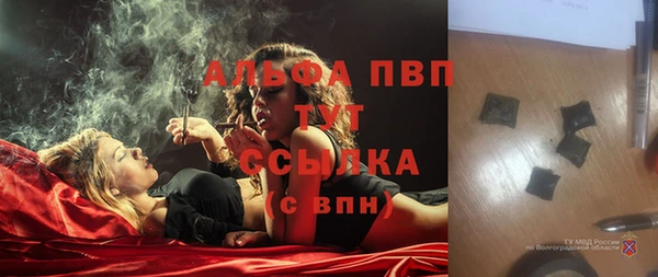 сатива Баксан