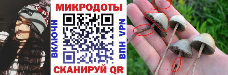 Псилоцибиновые грибы прущие грибы  Ступино 